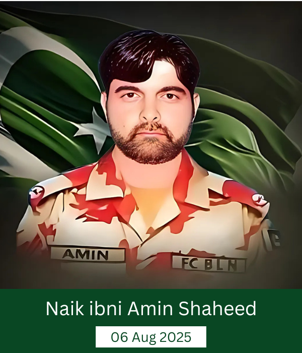 Naik ibni Amin Shaheed