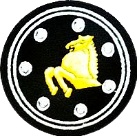 6th Armoured Division insignia