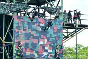 Pakistan-Indonesia Joint Military Exercise Shaheen Strike-II Concludes Successfully